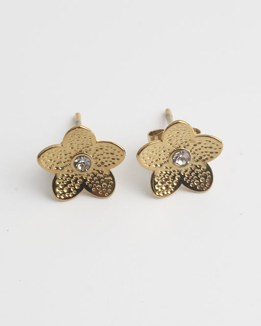 Sage - Clous - Boucles d'oreilles - Acier inoxydable