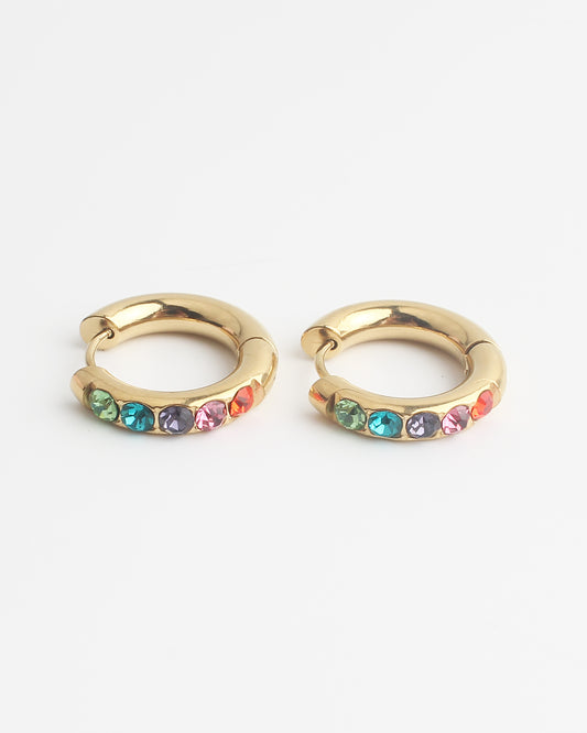Big Strass - Earrings - Stainless Steel