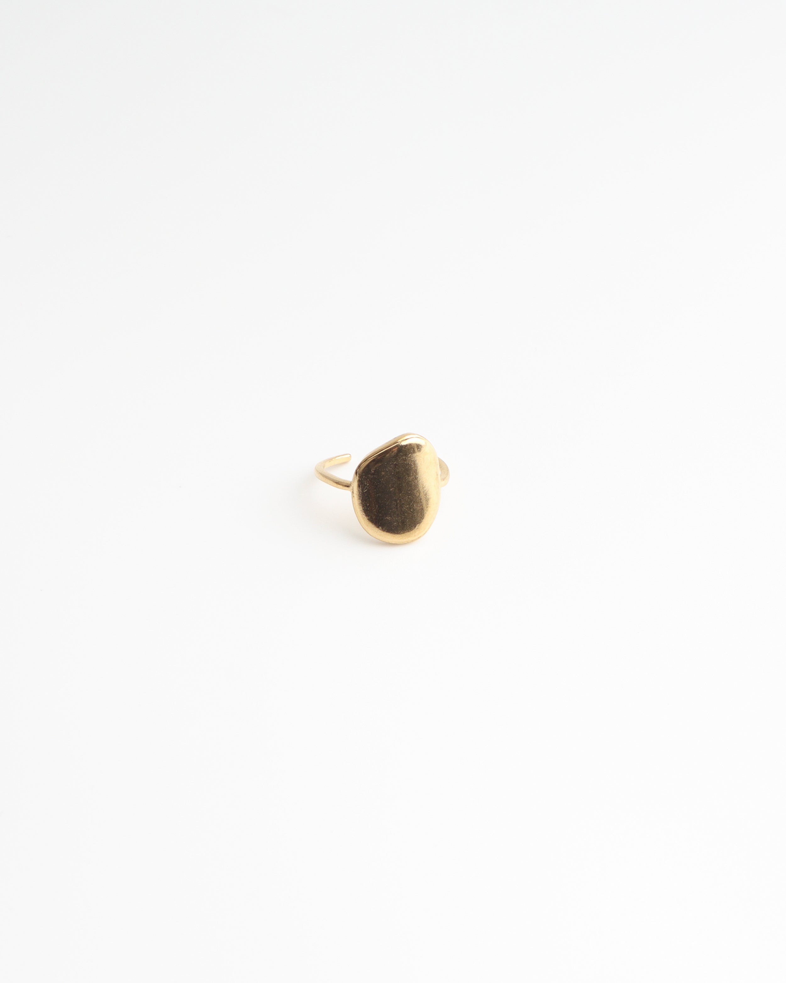 Lianne - Ring - Stainless Steel - Adjustable