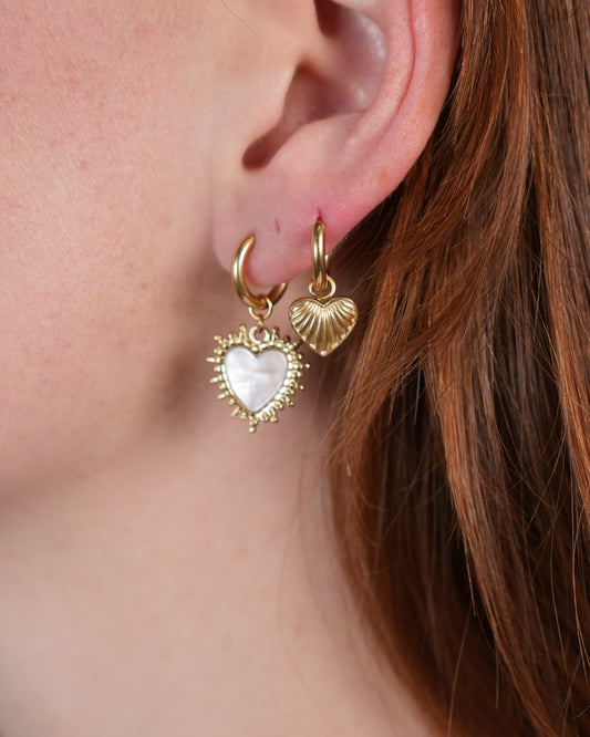 Big Shell Heart - Earrings - Stainless Steel