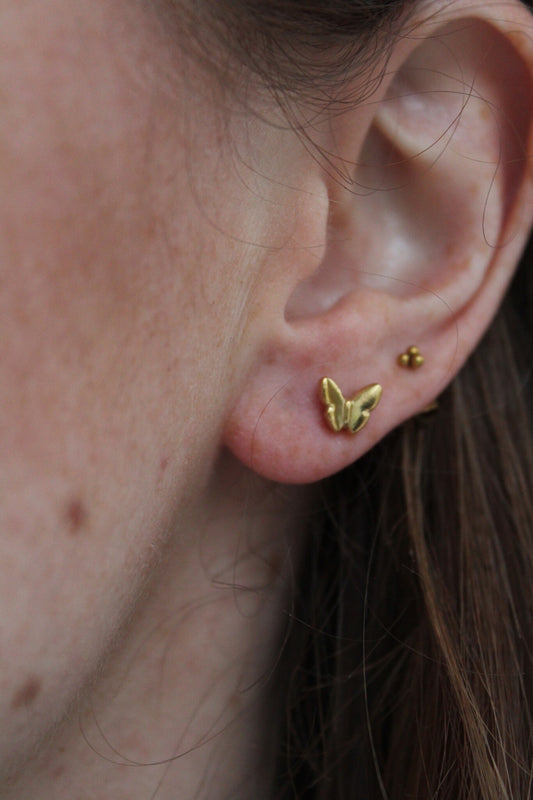 Butterfly - Studs - Earrings - Stainless Steel